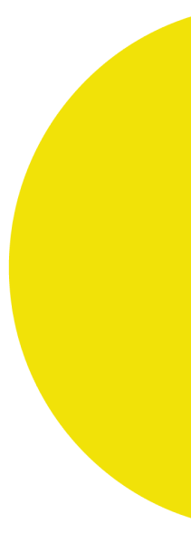 formes_verticille3 1